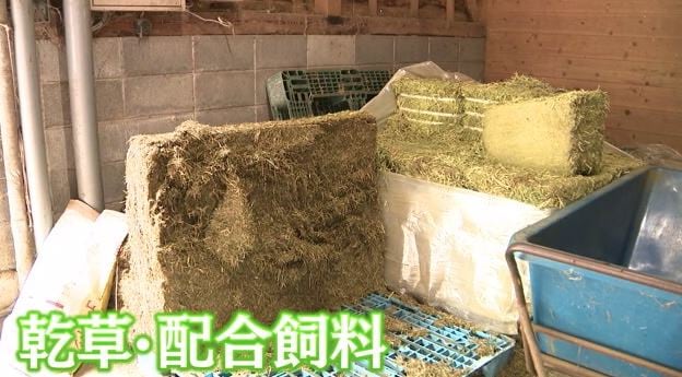 エサの乾草・配合飼料は海外から輸入