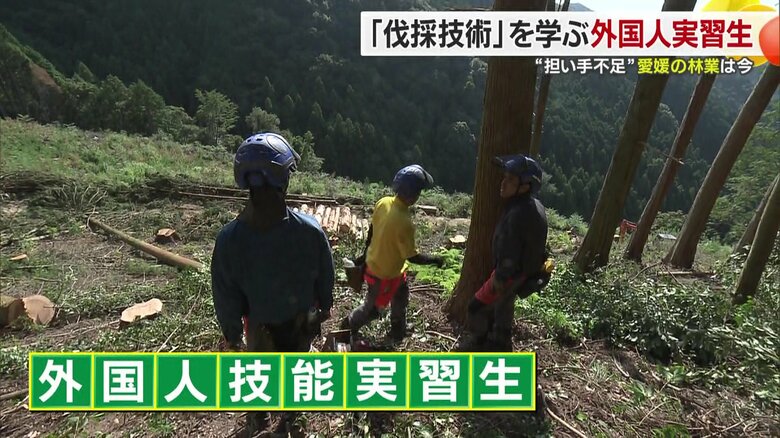 県森連は『外国人技能実習生』に注目