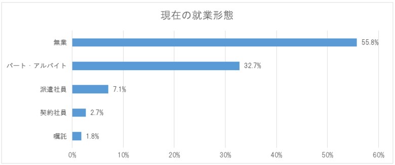 無業・非正規就業の30代求職者に関するアンケート