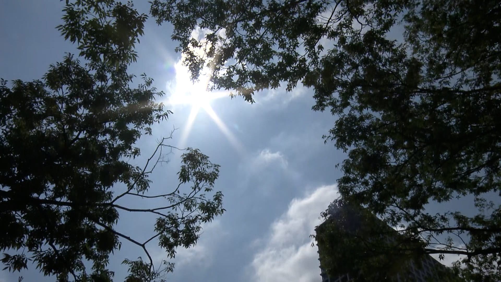 猛暑日地点が過去最多の可能性も…前橋や豊岡などで39度・山形や北九州などで38度予想　危険な暑さきょうも続く