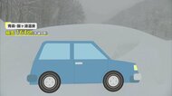 【10年に一度の大雪】「前見えない」路肩から落下する車も複数台…ホワイトアウトで“視界不良”事故相次ぐ　青森・酸ヶ湯温泉で全国初の積雪160cm超