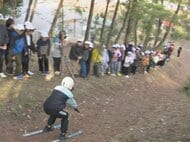 60年以上続く伝統行事…小学校横の斜面で「落ち葉スキー」松の枯れ葉が敷き詰められ子供達が初滑りを楽しむ
