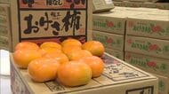秋の味覚“おけさ柿”初競り！今年は天候に恵まれ大玉傾向「とろんとした食感で甘み強い」新潟