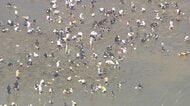 ゴールデンウィーク終盤　Uターンラッシュはピーク　観光地は人・人・人　水不足で湖渇水…露天風呂休止の温泉も