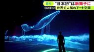 世界8都市で1200万人来場…没入型のアート空間『Arte Museum』が日本初上陸 愛知県知多市で11月下旬オープン予定