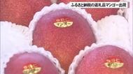 ふるさと納税の返礼品に今帰仁マンゴーはいかが