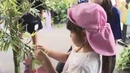 「ティラノサウルスになる」幼稚園児が短冊に願いごと　高さ123メートルの展望室で七夕の飾り付け　福岡市の福岡タワー