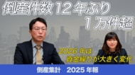 【無料公開】帝国データバンクが解説　2025年の倒産、12年ぶりに1万件超え　　2026年は資金繰り・資金調達・再生が大きく変化していく起点の年に