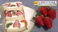 甘い! 村自慢のイチゴ サンドイッチも人気 コロナで恒例のイチゴ狩り中止も…上々のでき