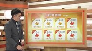 紅葉真っ盛り!見ごろ続々と!大山・船上山・三徳山・芦津渓谷・匹見峡!