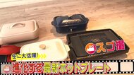 厚さ3ミリの