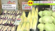 お値打ち野菜 を発見…家計に優しい「白菜・ネギ・キャベツ」食材に特化した鍋つゆも【北海道発】