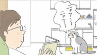 【猫あるある漫画】なんでそんなに猫しぐさ　第9回「軽やかに主をあざむく　猫のするする詐欺」