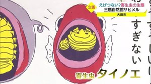 えげつない?謎めいた寄生虫の生態を展示 体験も!(島根・大田市)