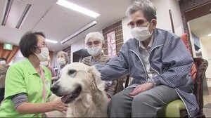 ふれあいで癒すセラピードッグ コロナ禍で活動維持を模索 広島