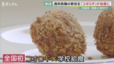 “全国初”!「コオロギ」が高校の給食に… その味は「エビみたい」?!【徳島発】