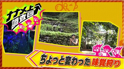 南国のジャングル？星空の下でイチゴ狩り！？東京でワサビの収穫？ナナメ上な「味覚狩り」秋の注目スポット