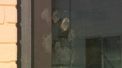 【ヒグマ速報】　“生ゴミの味”覚えてしまった可能性―「市街地にいれば何か良いことが」専門家は警鐘「普段の常識通じない」徘徊するクマは“確実に2頭以上”「不要不急の外出控えて」＜北海道福島町＞