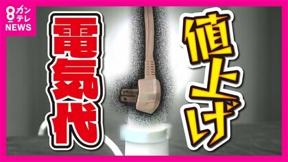 電気代値上がり 1年前の146％　ことしも“節電には向かない”暑い夏の予想 エアコンかかせず 家族全員“1カ所で寝て”電気代節約する主婦の知恵