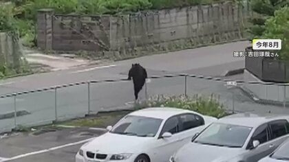 さまよえる“アーバンベア”目撃情報相次ぐ　柵をよじ登り、シャッターこじ開け自由自在　生ゴミ放置しないで