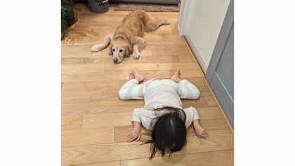 「びろーん」ゴールデンと同じ“うつ伏せポーズ”になる4歳娘がかわいい…何をしていたの？母親に状況を聞いた