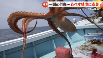 食べた人も漁をする人もニッコリの「恵比寿顔」 1000個の