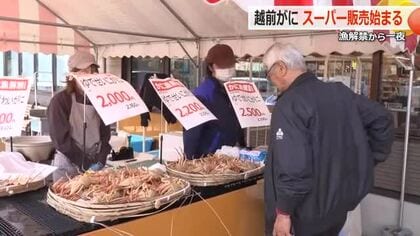 例年より3～4割高くても「買いたい！食べたい！」越前がに　店頭“ゆでたて販売”始まる　価格は来週にも落ち着くか　福井