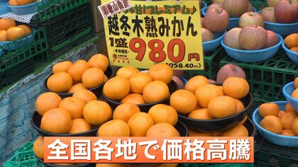 悲鳴】ミカン高騰 過去最高レベル「手が出ない」1袋約700円…カメムシ