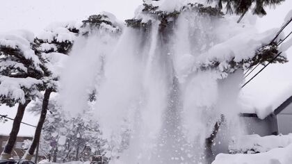 雪の重みで木が…「危ない！間一髪じゃん」あわや…通り過ぎてすぐに“木が折れ大量の落雪”歴史ある『赤松街道』で―記録的大雪の帯広市 4日ぶりに学校再開も通常の生活にはまだほど遠い…北海道