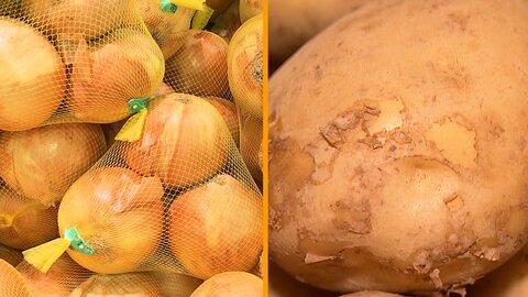 5月もじゃがいも、玉ねぎの高値続く　一方でキャベツ、レタス、ネギはお買い得が続く見通し