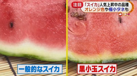 今が旬 夏の味覚 スイカ をおいしく食べるカット方法 味の見分け方とは オレンジ色 極小種の人気品種も