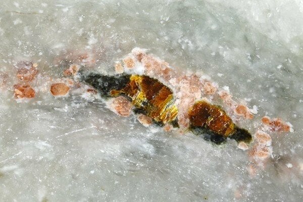 img_be08576bc3bfea90da3ff0e3f4