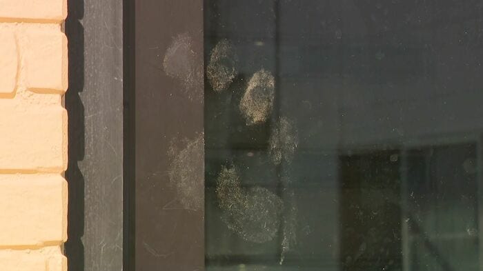 ガラス戸にクマのものとみられる足跡が