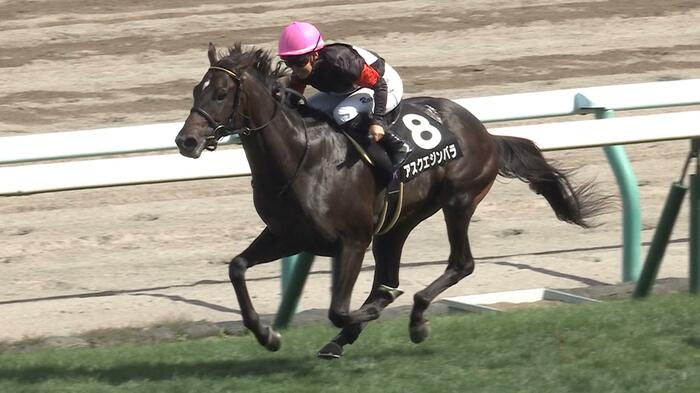 コスモス賞を制したアスクエジンバラ