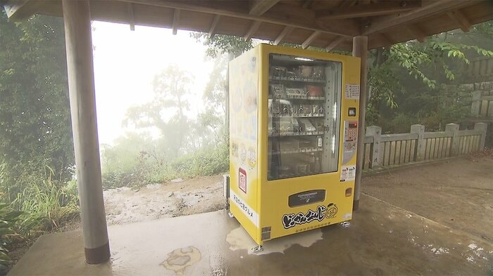 神社の境内に設置された神社の御朱印などが購入できる自動販売機