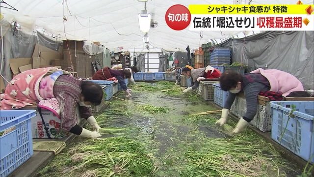 洗い場の様子