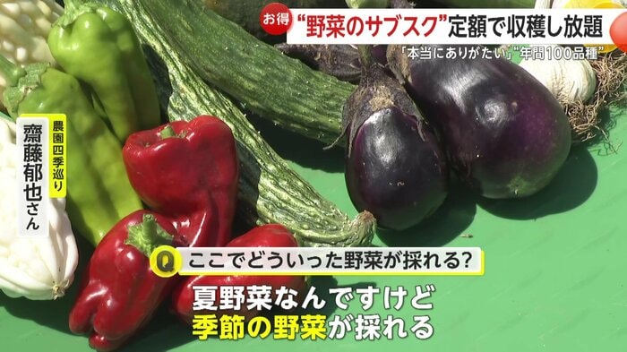 “サブスク”で採れる野菜は