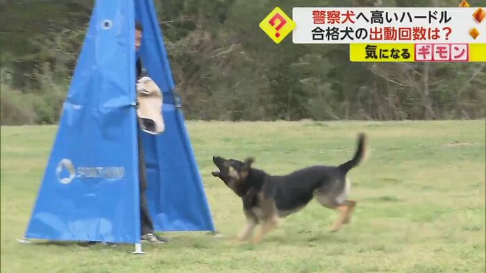 隠れている犯人を見つけたことを吠えて知らせる犬