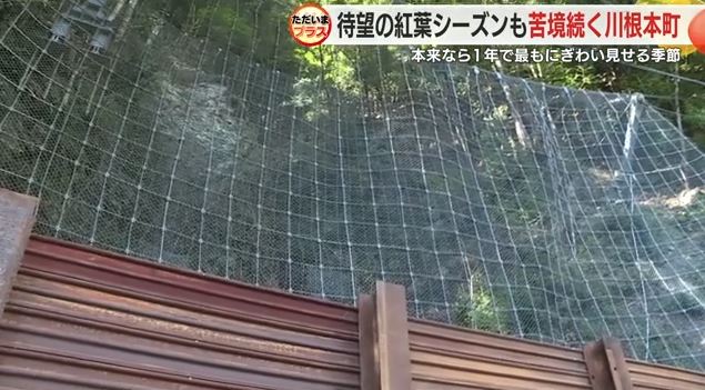 柵の上には落石がそのまま