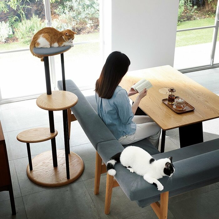 人と猫が互いにくつろげる空間