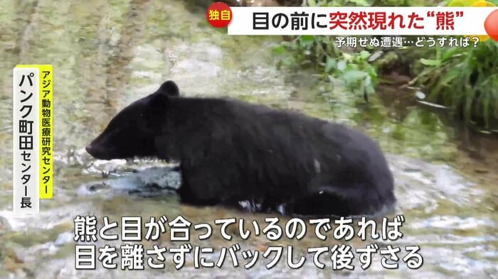 目を離さずにバックし後ずさるということが重要(野鳥いずみ)(FNN投稿サイト「ビデオPost」)