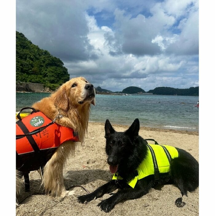 海に来た!