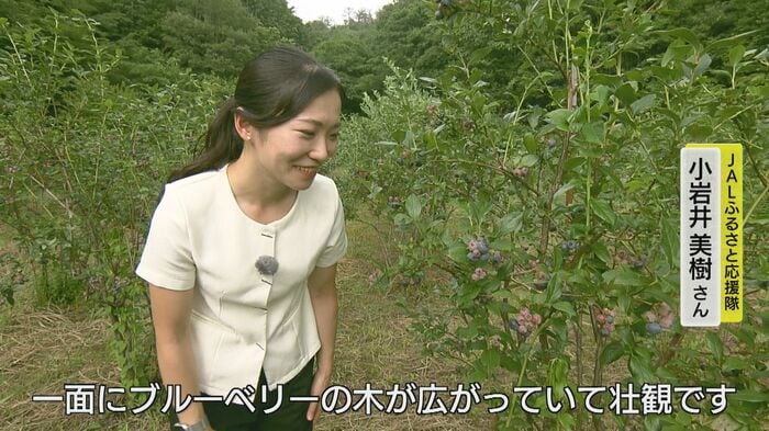 JALふるさと応援隊 小岩井 美樹さん