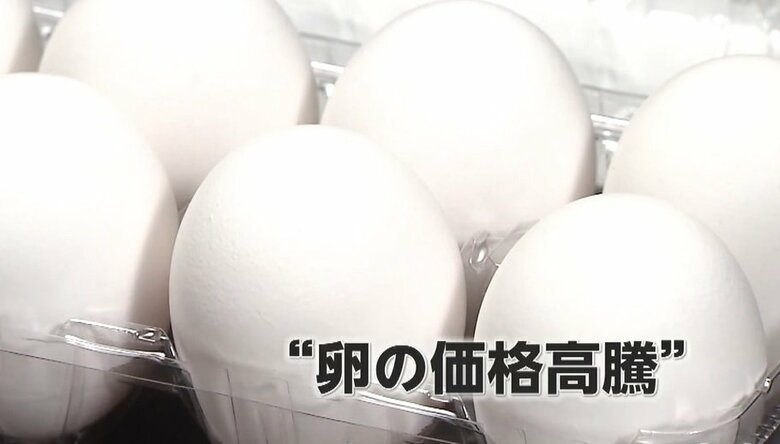 「エッグショック」再びか…鳥インフル急増で卵価格が高騰　冬に恋しくなる「すき焼き」などの価格にも影響｜FNNプライムオンライン