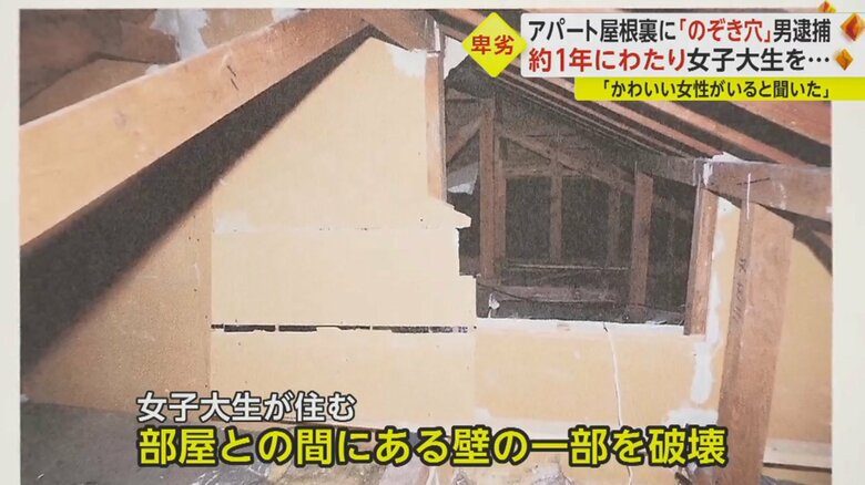 屋根裏の壁の一部が壊されていた