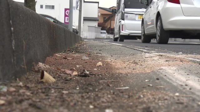 ブレーキ痕なく踏み間違えた可能性