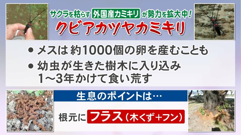 ニュースONE