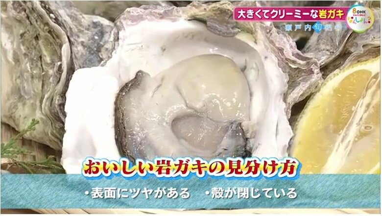 おいしい岩ガキを選ぶポイント