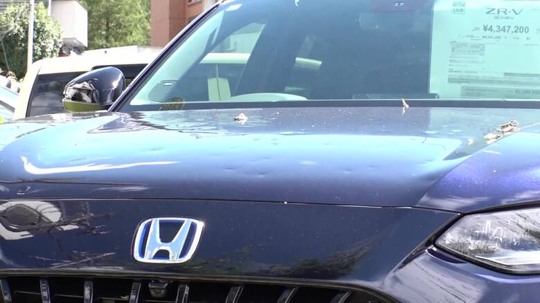 ひょうの被害の様子