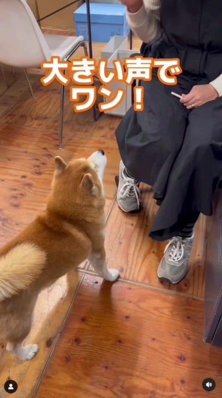 提供：エイトデザイン